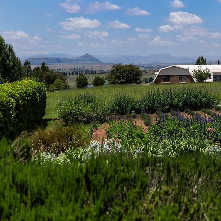 Lavender Hill Country Estate And Wedding Venue Hostal Bethlehem Exterior foto