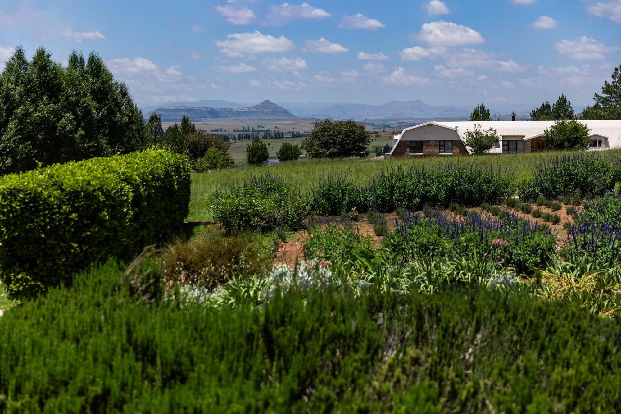 Lavender Hill Country Estate And Wedding Venue Hostal Bethlehem Exterior foto